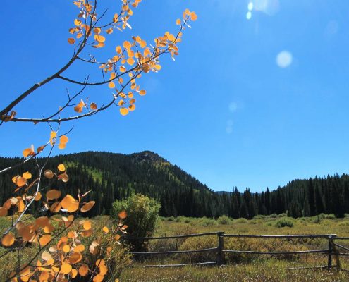 monday-sept-12-2016