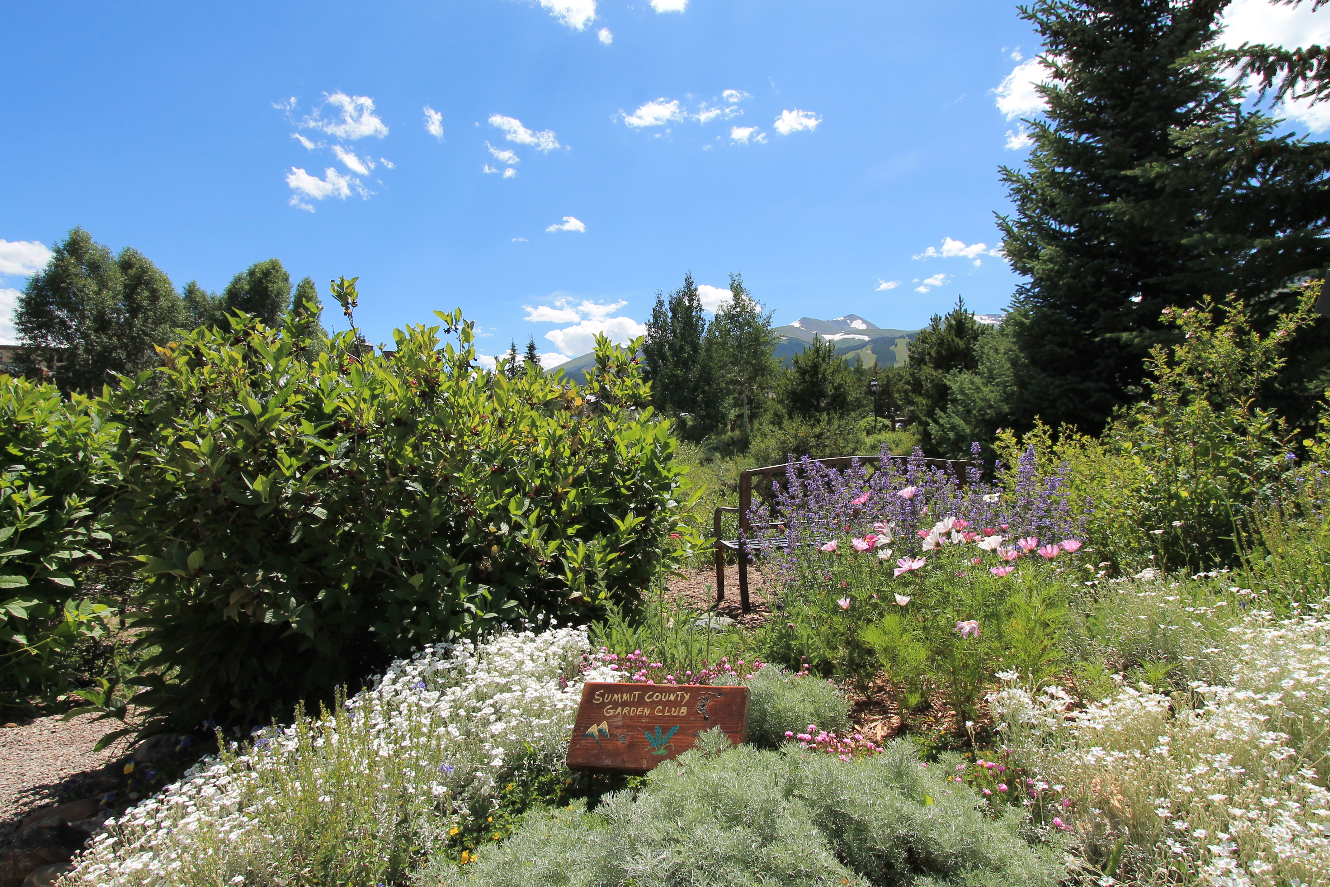 Gardening in the High Country Made Easy - Best of Breckenridge Blog