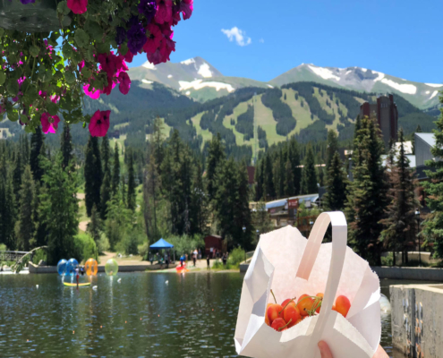 Breckenridge Sunday Market